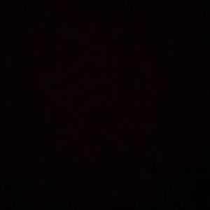 Meet your Posher, Lillie